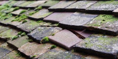 Tongwynlais roof repair costs